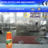 Automatic 2 in 1 Bottle Pulp Juice Packing Machinery (RGF12-6)