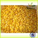IQF Sweet Corn Kernel
