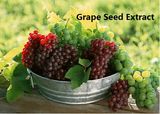 (Grape Seed Extract) -Beauty &Skin Care Grape Seed Extract