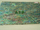 AAA Grade Red / Green Abalone Paua Shell Paper for Decoration