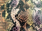 Popular Snake Fabric