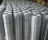 Galvanized Welded Wire Mesh