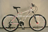 Alloy Bicycle with Alloy Frame and Steel Fork (SH-AMTB002)