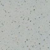 Quartz Stone for Floor/Wall/Work-Top (QG111)