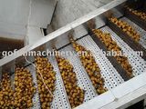 Fruit Processing Line (GFM-LE)