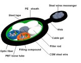Self-Suporting Optical Cable (GYTC8S)