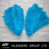 Fashion Show and Carnival Dyed Ostrich Feather