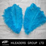 Fashion Show and Carnival Dyed Ostrich Feather