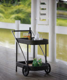 Convenient and Cute Rattan Trolley (T0001)