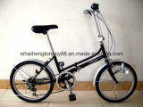 New Model Folding Bicycle with Steel Fenders (SH-FD034)