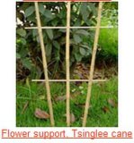 Flower Stick (Support)