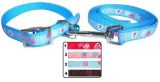Colorful Christmas Gifts Pet Products Cat Collar and Leash (JCLC-207)