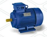 Three Phase Asynchronous Electric Motor