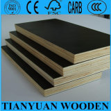 Hot Sale 18mm Plywood Black Film Faced Plywood