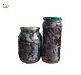 Canned Suillus Mushroom