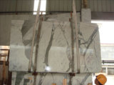 Statuario Marble Slab and Tile (PBS-3004)