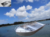 Aluminium Boat Lux Type (SAV16)