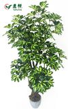 Yongyue 0786 New Style 5.09 Ft Artificial Dieffenbachia Bonsai for Wholesale