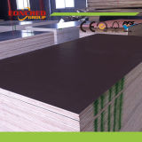 12mm Thickness Film Faced Plywood Popular Sale