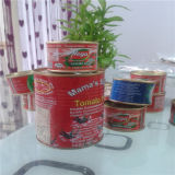 Fresh Tasty Tomato Paste with Many Package