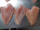 Frozen Halal Chicken Breast