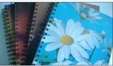 Harder Spiral Notebook