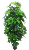Make Cheap Unique Artificial Christmas Tree Money Plant 0685