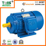 TOPS asynchronous electric motor