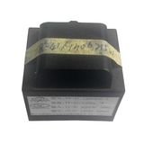 Low Frequency Transformer (TZ41-1)