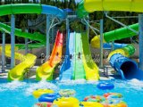 Fiberglass Playground Water Slide for Sale