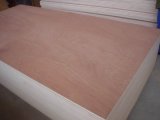 Bintangor Face and Back Commercial Plywood for Furniture