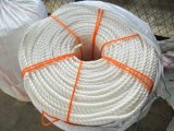 3 Strands PP Rope From Factory