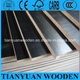 Hardwood Veneer Plywood/Formwork Plywood for Construction