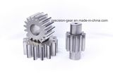 Spur Gear and Spur Gear Shaft