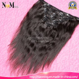Peruvian Hair/ Human Hair Ponytail Fashion Hair Accessories (Qb-cli-ST)