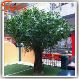 China Supplier Plastic Artificial Ficus Tree Banyan Tree