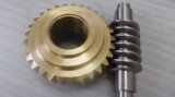 Precision Custom Brass Worm Gear and Stainless Steel Worm Wheel for Gearbox