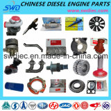 Professional Diesel Engine Parts for Chinese Truck