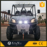 Electric Utility All Terrain Vehicles UTV with EEC