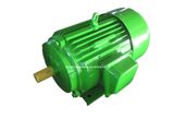 Y Series Three Phase Electric Motor