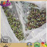 Factory HDPE Long Use Life 10 Years Olive Collection Net