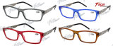 Fashion Colorful Design Reading Glasses Eyewear (SR3894)