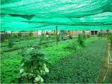 180g Shade Net for Agriculture