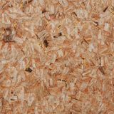 Grass Wall Papers