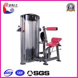 Back Extension Popular Fitness Equipments