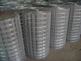 Welded Steel Wire Mesh