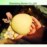 Professional Supplier for Chinese Fresh Golden Apple