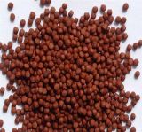 Trout Fish Feed for Trout Grower