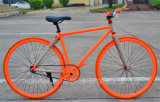 700c*23c Fixed Gear Bike, Colorful