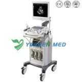 Ysb0212 Medical 3D Trolley Color Doppler Ultrasound Equipments